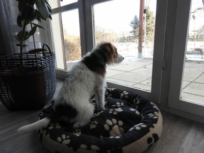 Holiday house Haustierfreundlicher Kurzurlaub - Outdoor photo 2