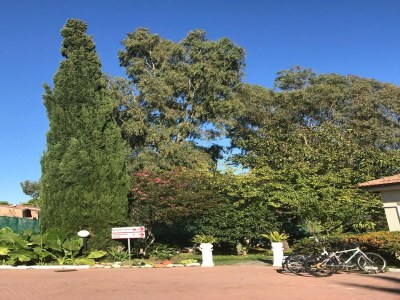 Apartment Belvilla by OYO Appartamento 1 al piano 1 in Loano - Apartment