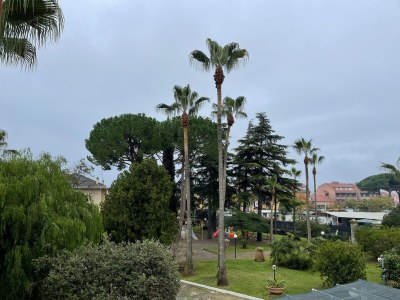 Apartment Belvilla by OYO Appartamento 1 al piano 1 - Outdoor photo 9