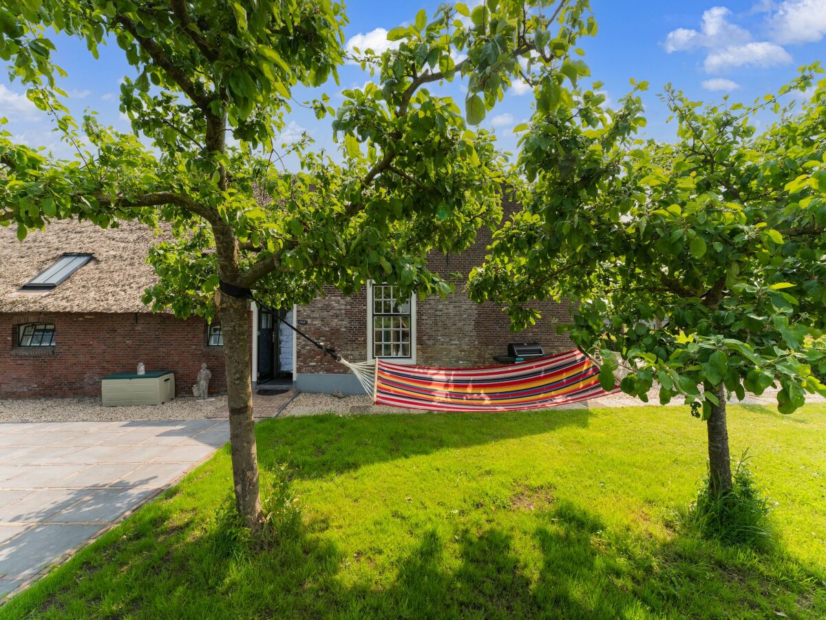 Holiday house Bauernhaus mit Terrasse in Montfoort - Outdoor photo 5