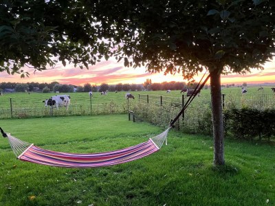 Holiday house Bauernhaus mit Terrasse in Montfoort - Outdoor photo 6