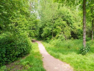 Holiday house Bauernhaus mit Terrasse in Montfoort - Environment photo 37