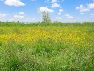 Holiday house Bauernhaus mit Terrasse in Montfoort - Environment photo 38