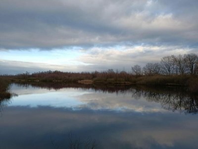 Holiday house Bauernhaus mit Terrasse in Montfoort - Environment photo 39