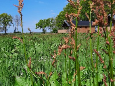 Holiday park Lodge by Dutch Meadows with Scenic Veranda - Outdoor photo 6