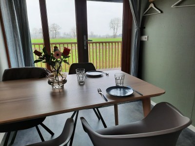 Holiday park Lodge by Dutch Meadows with Scenic Veranda - Features photo 23