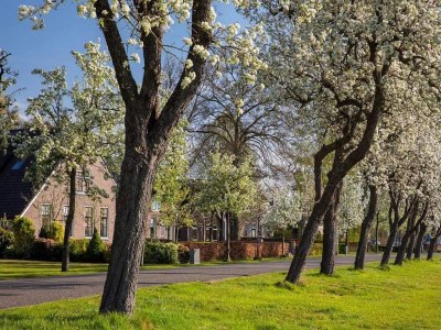 Holiday park Lodge by Dutch Meadows with Scenic Veranda - Environment photo 37