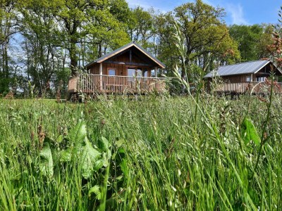 Holiday park Lodge in Drenthe mit schöner Veranda - Outdoor photo 11