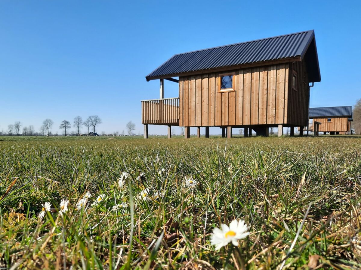 Holiday park Lodges in Drenthe with Scenic Meadow Views