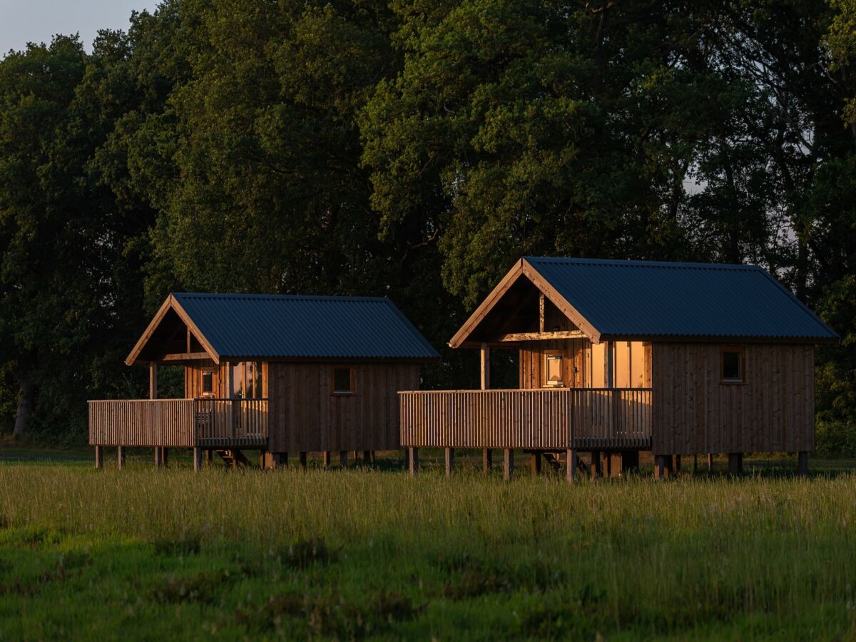 Holiday park Lodges in Drenthe with Scenic Meadow Views - Outdoor photo 3