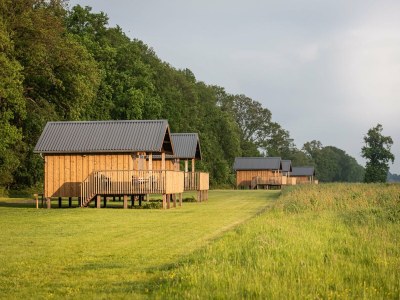 Holiday park Lodges in Drenthe with Scenic Meadow Views - Outdoor photo 2