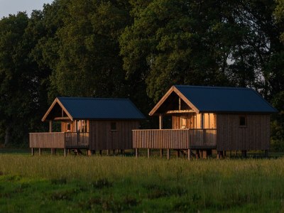 Holiday park Lodges in Drenthe with Scenic Meadow Views - Outdoor photo 3