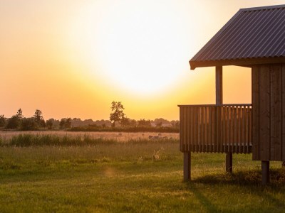 Holiday park Lodges in Drenthe with Scenic Meadow Views - Outdoor photo 4