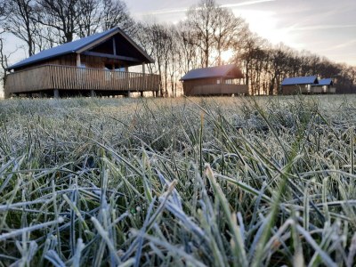 Holiday park Lodges in Drenthe with Scenic Meadow Views - Outdoor photo 16