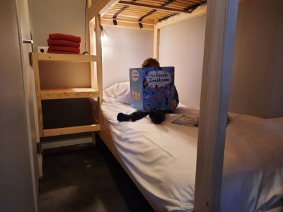 Holiday park Lodges in Drenthe with Scenic Meadow Views - Features photo 21