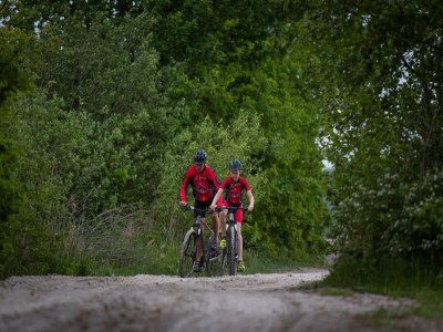 Holiday park Lodges in Drenthe with Scenic Meadow Views - Environment photo 29