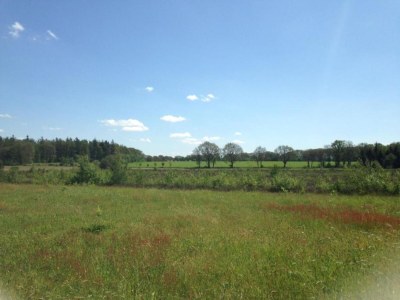 Holiday park Lodges in Drenthe with Scenic Meadow Views - Environment photo 34
