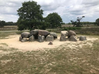 Holiday park Lodges in Drenthe with Scenic Meadow Views - Environment photo 35