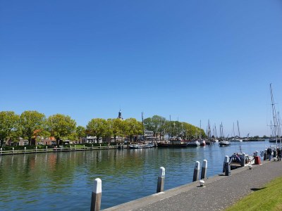 Chalet Kaiser Chalet 232 - Environment photo 13