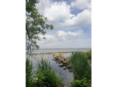 Chalet Kaiser Chalet 232 - Environment photo 18