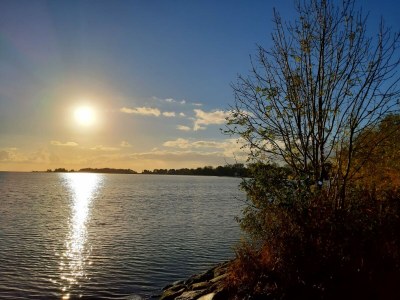 Chalet Kaiser Chalet 232 - Environment photo 19