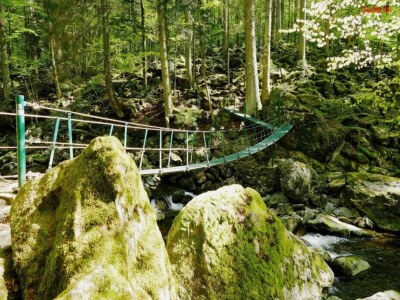 Apartment Appartement Michaela in Freyung mit Pool - Environment photo 22