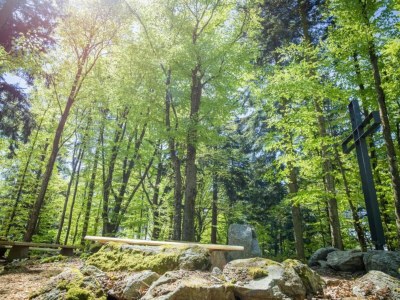 Apartment Appartement Michaela in Freyung mit Pool - Environment photo 28