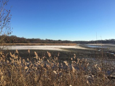 Holiday house Country House in Leende near Leenderbos Forest - Environment photo 33