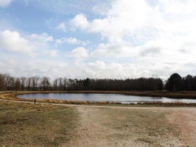 Holiday house Country House in Leende near Leenderbos Forest - Environment photo 36