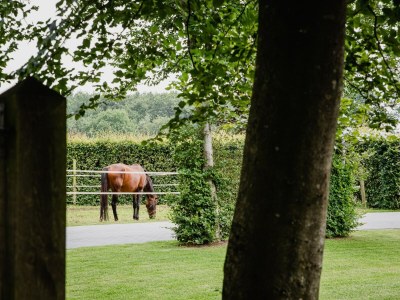 Holiday house Haus in Leenderstrijp nahe Leenderbos - Outdoor photo 12