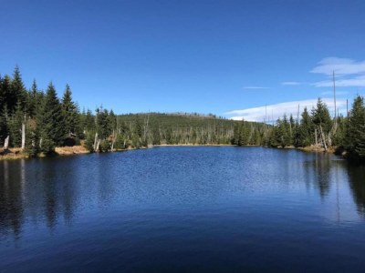 Apartment Appartement Nebelberg in Freyung - Environment photo 19