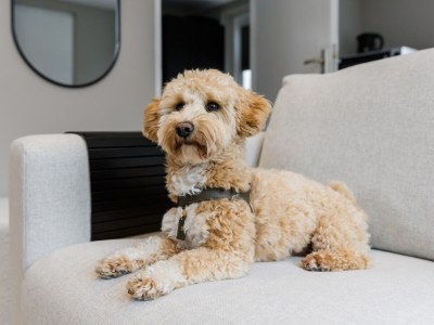 Holiday apartment Costa - Features photo 6