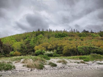 Holiday house 6 person holiday home in Grenaa-By Traum - Outdoor photo 7