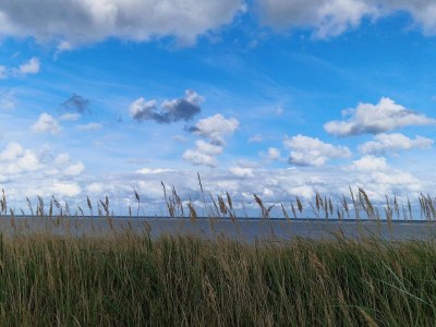 Holiday house 6 person holiday home in Grenaa-By Traum - Outdoor photo 10