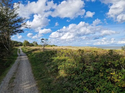 Holiday house 6 person holiday home in Grenaa-By Traum - Outdoor photo 17