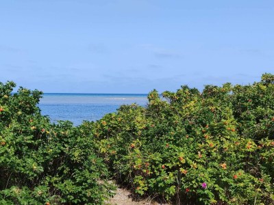 Holiday house 6 person holiday home in Grenaa-By Traum - Outdoor photo 30