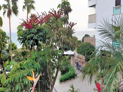 Holiday house Sunny Garden Apartment - Outdoor photo 4