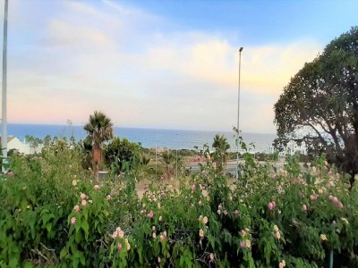 Holiday house Sunny Garden Apartment - Outdoor photo 37