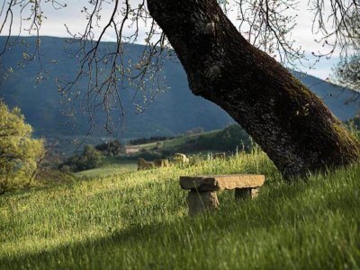 Apartment Charmantes Familienrefugium in Umbrien - Environment photo 27