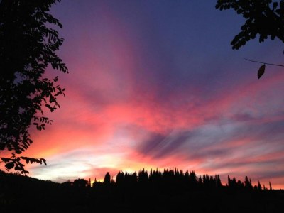 Apartment Charmantes Familienrefugium in Umbrien - Environment photo 39