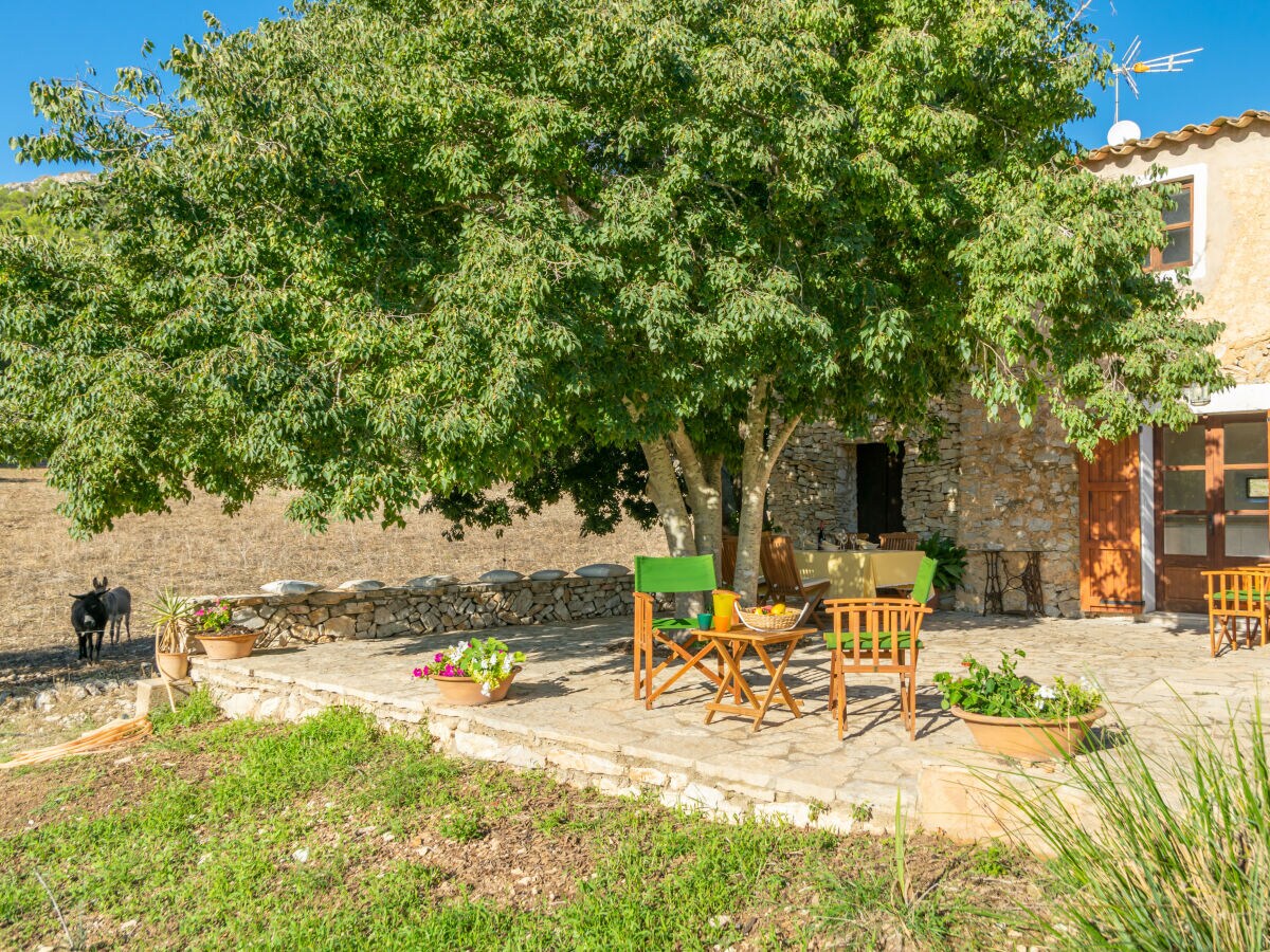 Finca SON ESQUERRÀ - Outdoor photo 3