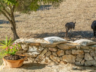 Finca SON ESQUERRÀ - Outdoor photo 19