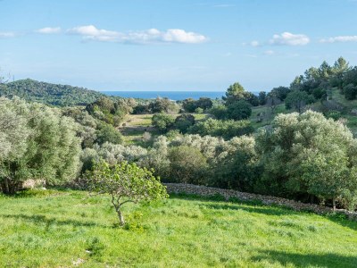 Finca SON ESQUERRÀ - Outdoor photo 26
