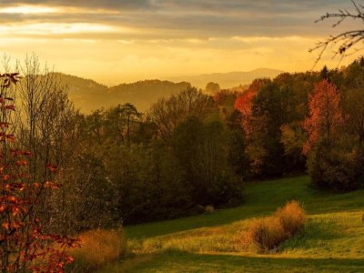 Apartment Ferienwohnung, Zenting - Environment photo 17