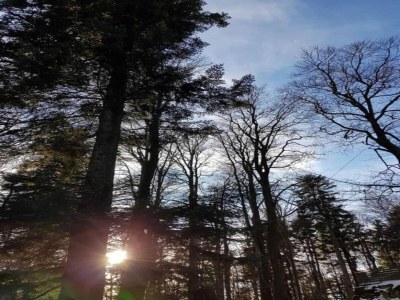 Apartment Ferienwohnung, Zenting - Environment photo 27