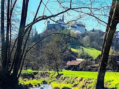 Apartment Ferienwohnung, Zenting - Environment photo 29