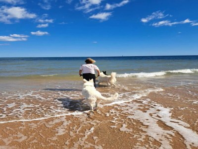 Holiday house Haus in Torrevieja nahe Strand & Pool - Environment photo 37
