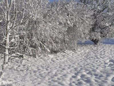 Holiday house Holiday Home in Dordogne with Pool & Bubble Bath - Environment photo 26