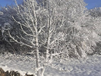 Holiday house Holiday Home in Dordogne with Pool & Bubble Bath - Environment photo 27