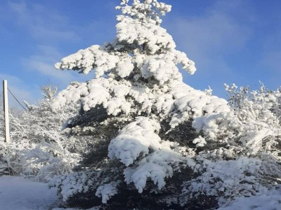 Holiday house Holiday Home in Dordogne with Pool & Bubble Bath - Environment photo 28